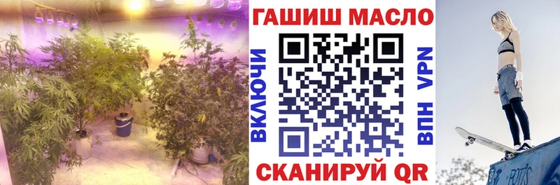 ТГК Wax  Вичуга 
