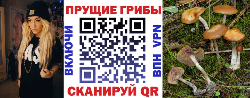 Псилоцибиновые грибы MAGIC MUSHROOMS Вичуга